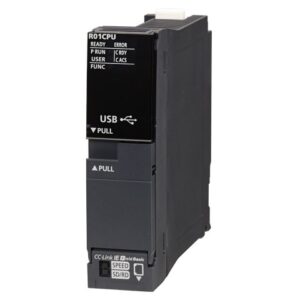 R01CPU