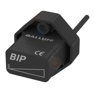 BIP001W